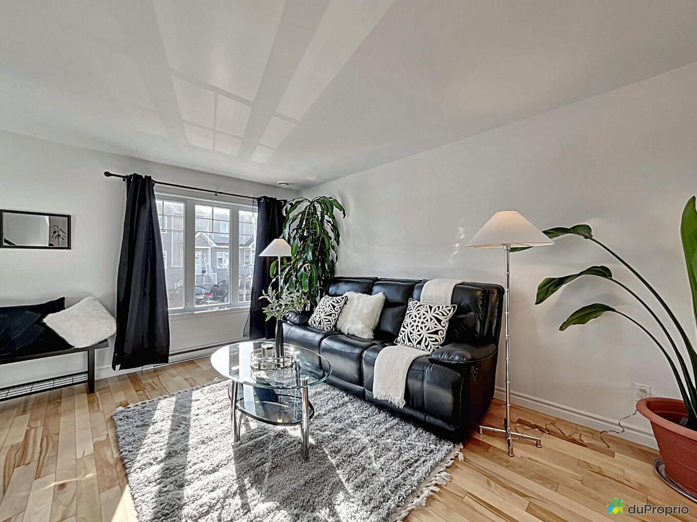 Home Staging